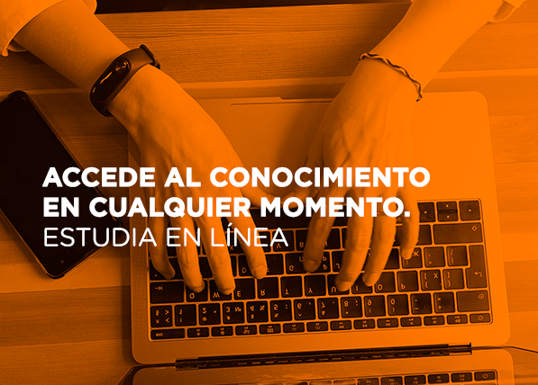Accede al conocimiento, en cualquier momento y desde cualquier lugar, estudiando en línea.