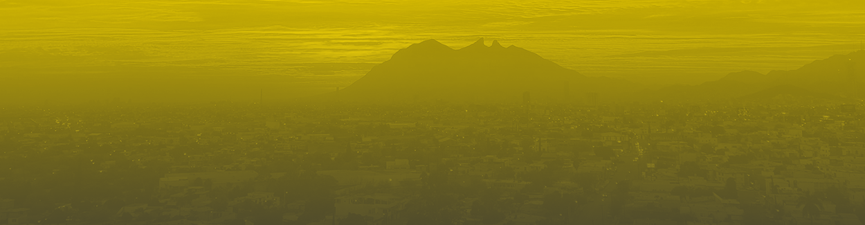 Epidemias del pasado y actuales en Monterrey